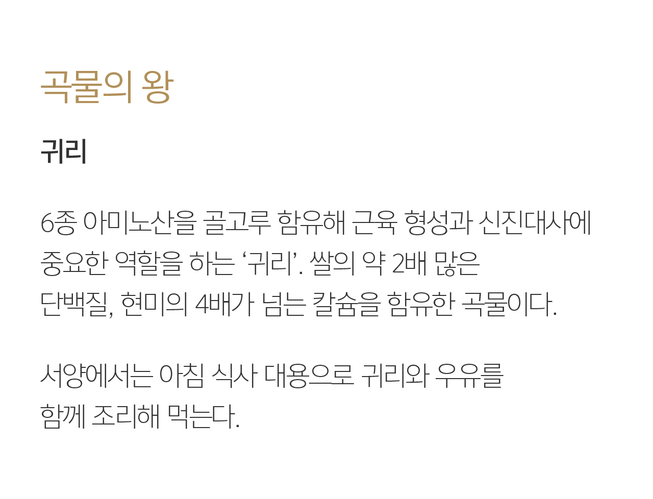 곡물의 왕 귀리. 6종 아미노산을 골고루 함유해 근육 형성과 신진대사에  중요한 역할을 하는 ‘귀리’. 쌀의 약 2배 많은 단백질, 현미의 4배가 넘는 칼슘을 함유한 곡물이다.  서양에서는 아침 식사 대용으로 귀리와 우유를 함께 조리해 먹는다.