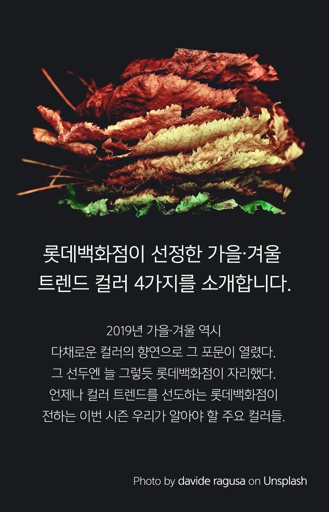 02 롯데백화점이 선정한 가을.겨울 트렌드 컬러 4가지를 소개합니다. 2019년 가을.겨울 역시 다채로운 컬러의 향연으로 그 포문이 열렸다. 그 선두엔 늘 그렇듯 롯데백화점이 자리했다. 언제나 컬러 트렌드를 선도하는 롯데백화점이 전하는 이번 시즌 우리가 알아야 할 주요 컬러들.