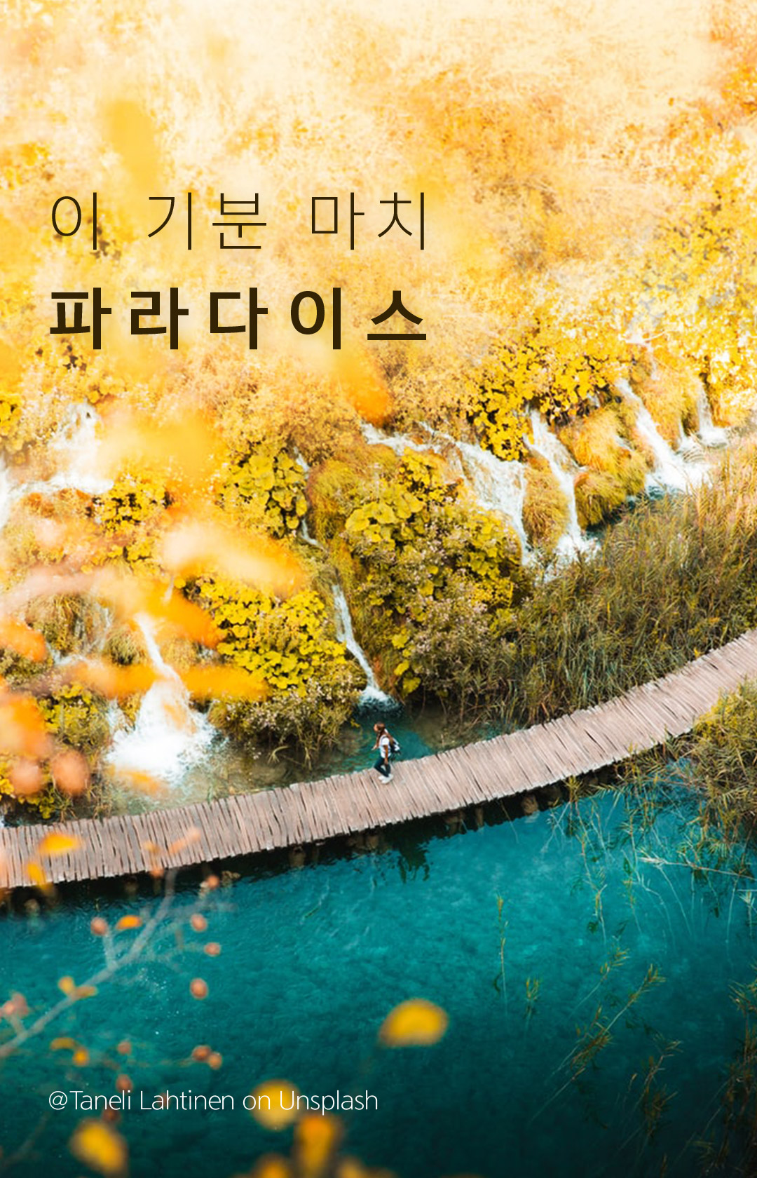 이 기분 마치 파라다이스  @Taneli Lahtinen on Unsplash